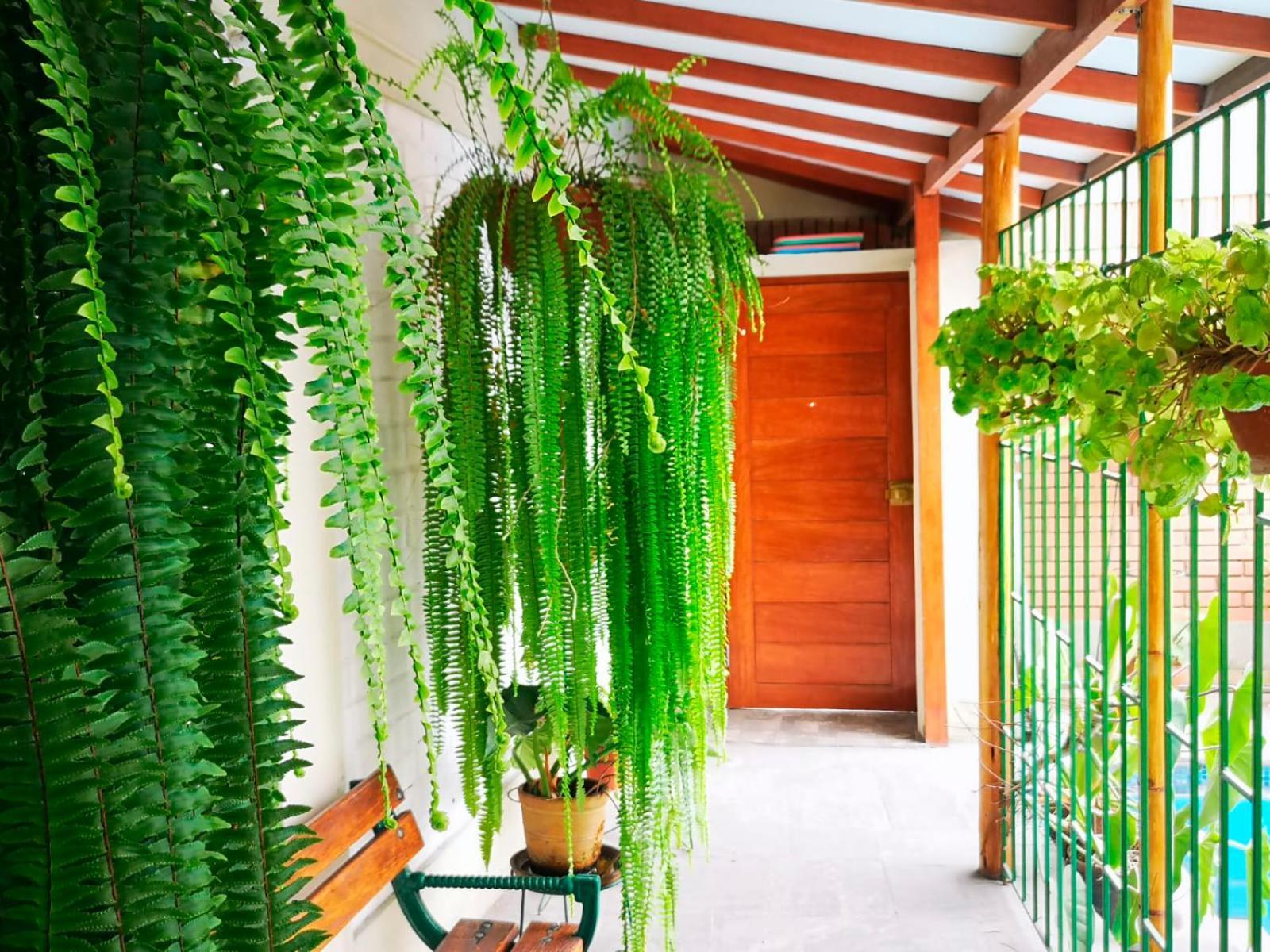 Casa Amarello Lejlighed Lima Eksteriør billede